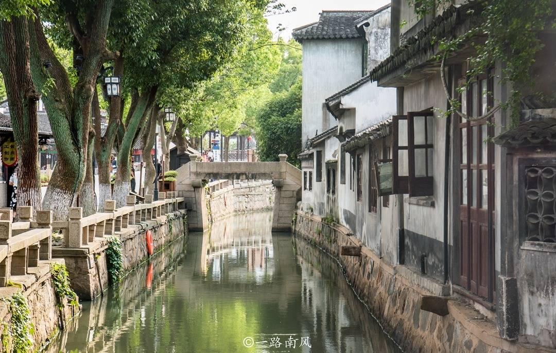 拯救树精灵