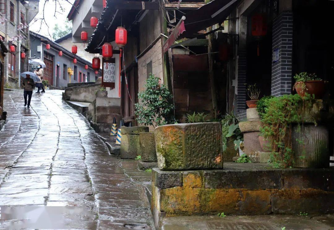 2024年中国华南地区高职院校排名,深圳信息职业技术学院第一